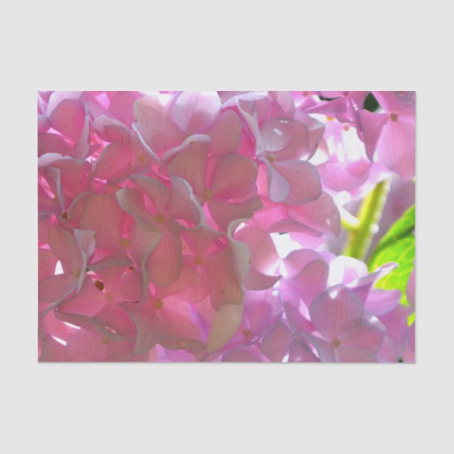 Elegante weiche rosa Blumen rosa Hydrangeas-Rose Seidenpapier (Vorderseite)