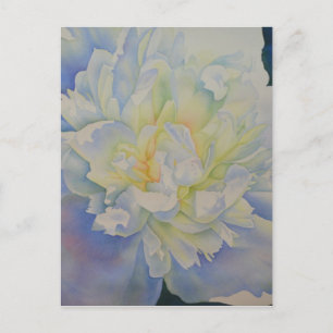 Elegante weiße gelbe Pfingstrose Blumen-Aquarell  Postkarte