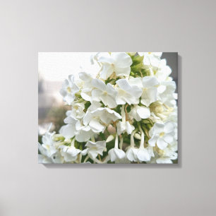 Elegante weiße Hortensien-Blumenleinwandkunst   B Leinwanddruck