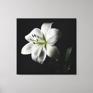 Elegante, weiße Lilienummantelte Leinwand Print