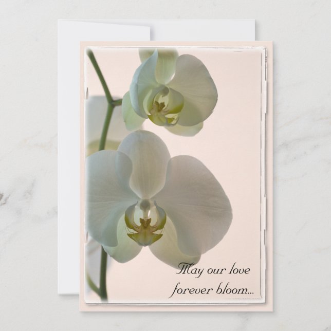 Elegante weiße Orchideen auf rosa Hochzeit Einladung (Vorderseite)