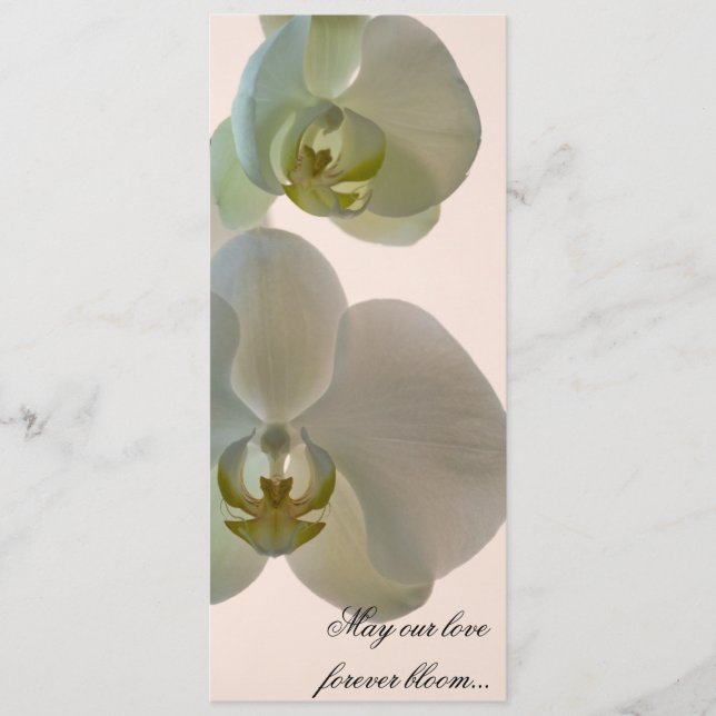 Elegante weiße Orchideen auf rosa Hochzeit Programm (Vorderseite)