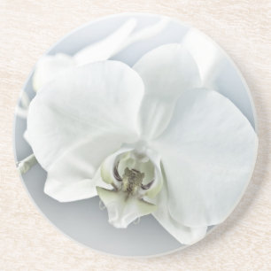 Elegante weiße Orchideen-Botanik-Kunst Getränkeuntersetzer