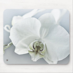 Elegante weiße Orchideen-Botanik-Kunst Mousepad