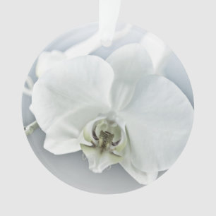 Elegante weiße Orchideen-Botanik-Kunst Ornament
