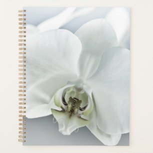 Elegante weiße Orchideen-Botanik-Kunst Planer