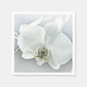 Elegante weiße Orchideen-Botanik-Kunst Serviette