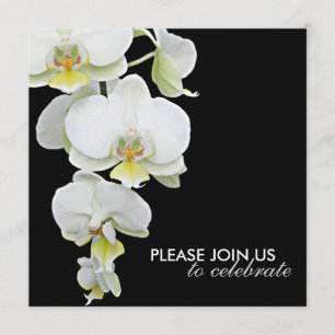 Elegante weiße Orchideen Hochzeit-/Gelegenheits-Ei Einladung