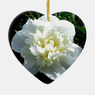 Elegante weiße Pfingstrose Blumen weiße Blume Foto Keramik Ornament