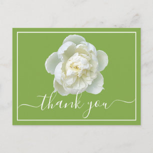 Elegante Weiße Pfingstrose Botanisch Farbige Danke Postkarte