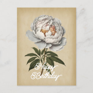 Elegante weiße Pfingstrose Happy Birthday Postkarte