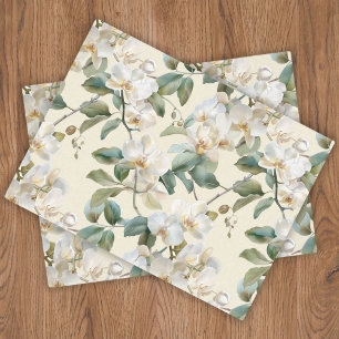 Elegante weiße Phalaenopsis-Orchideen-Blumen Seidenpapier
