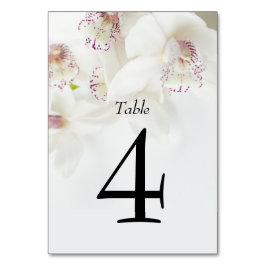 Elegante weiße und Lila Orchideen | Hochzeit Tischnummer