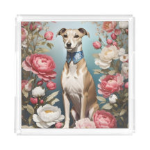 Elegante Whippet Pink Peony Blume