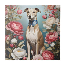 Elegante Whippet Pink Peony Blume Blue Background