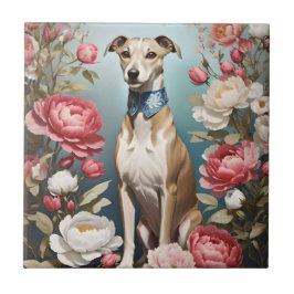 Elegante Whippet Pink Peony Blume Blue Background Fliese