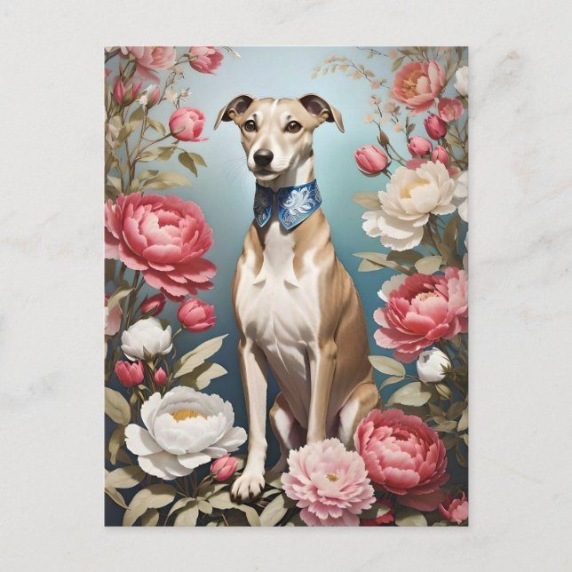 Elegante Whippet Pink Peony Blume Blue Background Postkarte (Vorderseite)