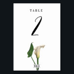 Elegante White Calla Lily Grüne Botanische Hochzei Tischnummer<br><div class="desc">Ein elegantes Monogramm White Calla Lily Design mit grünem botanischem Hintergrund. Eine weiße Aquarellfarbe Calla Lily thematied Hochzeitsdesign, das Elemente von grün verwendet, um botanische Hochzeitsdesign zu schaffen. Ein bezauberndes Blumendesign mit klassischer Schriftzeichen. Eine elegante, weiße Calla Lily Blume Hochzeit Tischnummer Design mit modernen Elementen. Auch die passenden Hochzeitseinladungen und...</div>