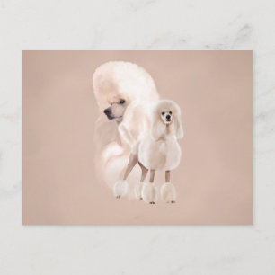 Elegante White Poodle Pastel Collage Postkarte