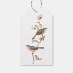 Elegante Wintervögel auf einer Zweigstelle mit Ber Geschenkanhänger