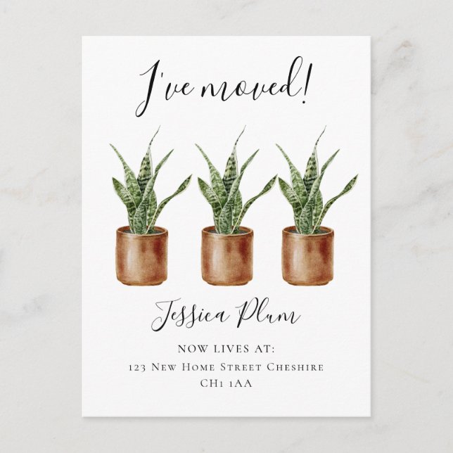 Eleganter Adresswechsel Ankündigungspostkarte (Vorderseite)