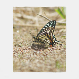 Eleganter asiatischer Frack Butterfly - Detaillier Fleecedecke