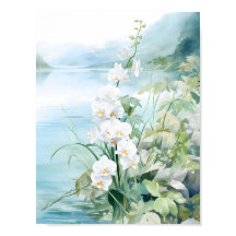 Eleganter Blue River Orchid