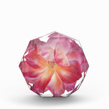 Eleganter Blumenblock Rose Blossom Foto Block