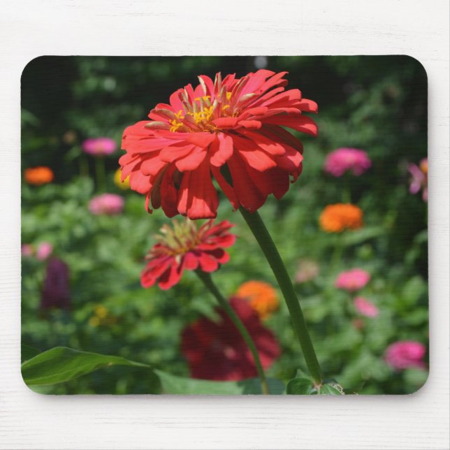 Eleganter Blumengarten in Rot-Orange Mousepad (Vorne)