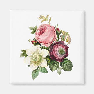 Eleganter Blumenmagnet in der Rose Magnet