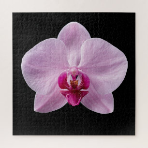 Eleganter Botanischer Orchideen-Kollektionsposter