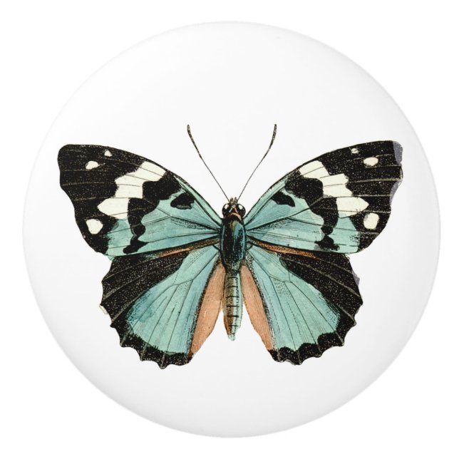 Eleganter Butterfly Aquamariner weißer Keramik Keramikknauf (Vorderseite)