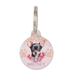 Eleganter Chihuahua-Hund mit Glitzer Personalisier Haustiermarke