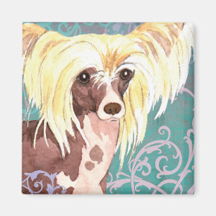 Eleganter Chinese Crested Magnet