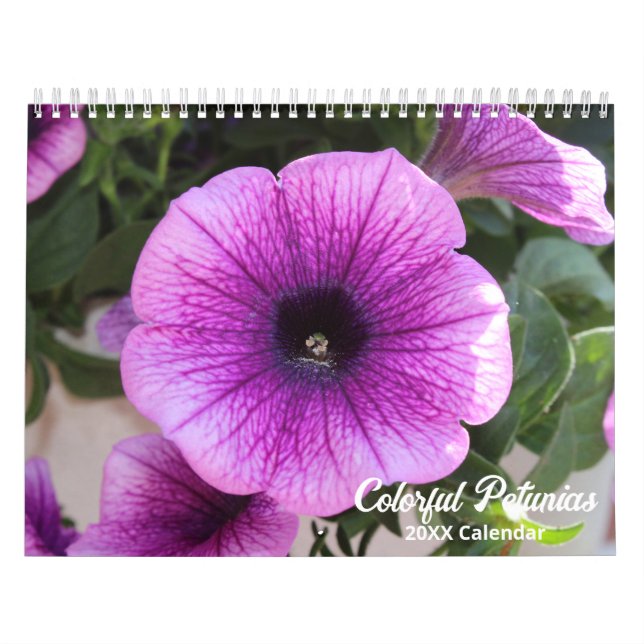 Eleganter Farbenfroher Petunias Botanischer Kalend Kalender (Titelbild)