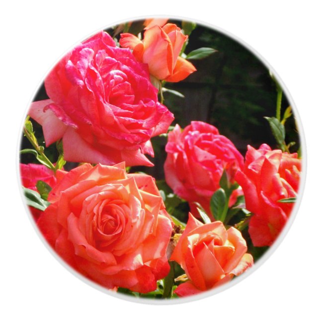 Eleganter Garten mit orangefarbenen Rose Rose Keramikknauf (Vorderseite)