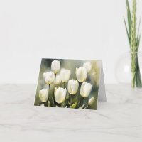 Eleganter Haufen von White Tulips in einem Serenen