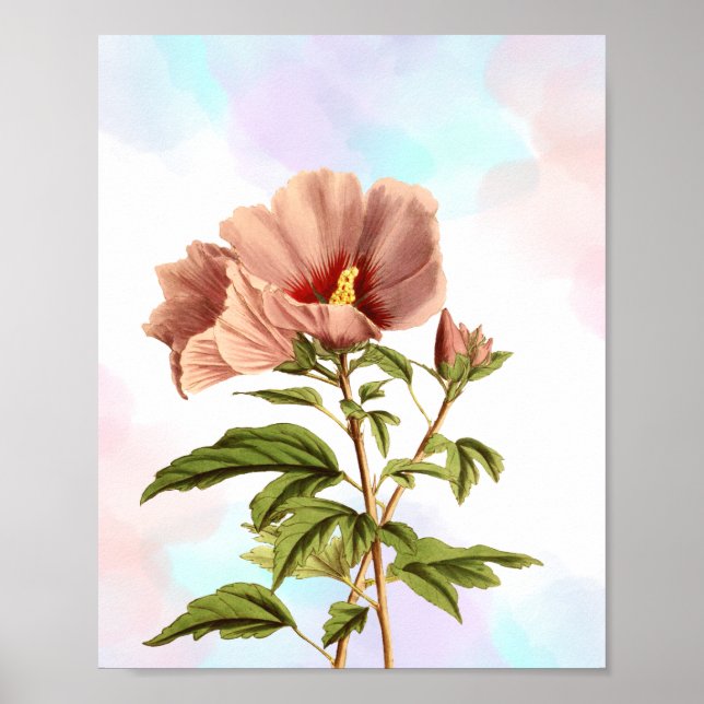 Eleganter Hibiskus Blume Botanische Schrift Poster (Vorne)