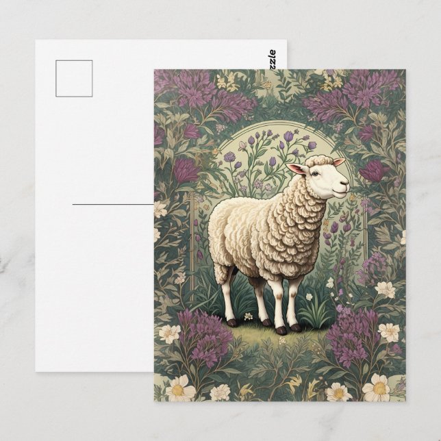 Eleganter Hintergrund der Schaflavendel Postkarte (Vorne/Hinten)