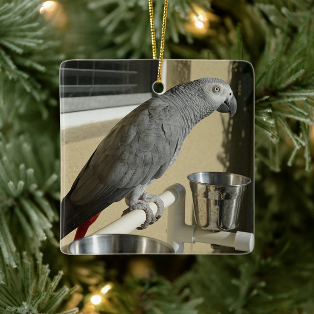 Eleganter Kongo Afrikanischer Grau-Papagei auf Sta Keramikornament (Baum)