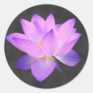 Eleganter Lila Lotus Sticker