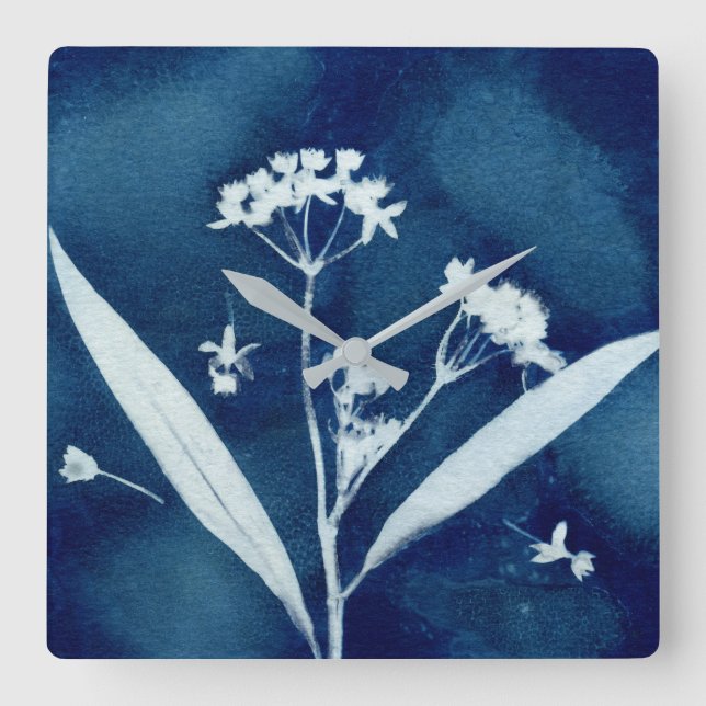 Eleganter Milkweed Cyanotyp Quadratische Wanduhr (Vorderseite)