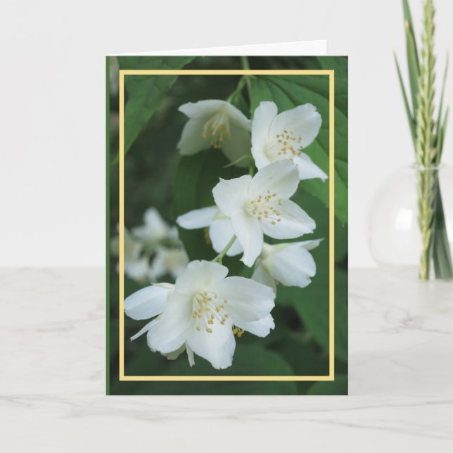 Eleganter moderner Jasmine-Blume Foto Goldener Rah Karte (Vorderseite)