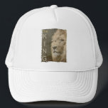 Eleganter moderner Pop Art Lion Kopfvorlage Truckerkappe<br><div class="desc">Elegant Moderne Pop Art Löwe Kopf Template hinzufügen Logo Logo Foto Basic Trucker Hut.</div>