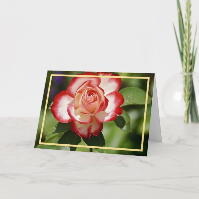 Eleganter, moderner Rosenstrahl Blume Goldener Rah Karte (Vorderseite)