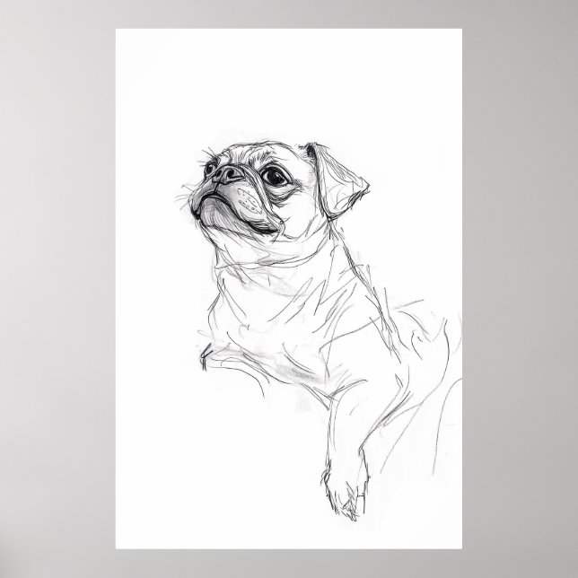 Eleganter Mops Portrait Sketch - Premium Poster (Vorne)