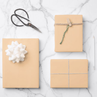 Eleganter Pastellpfirsich Minimalistisch und elega Geschenkpapier Set