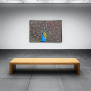 Eleganter Pfau in Blau mit gefangenen Schwänzen Poster