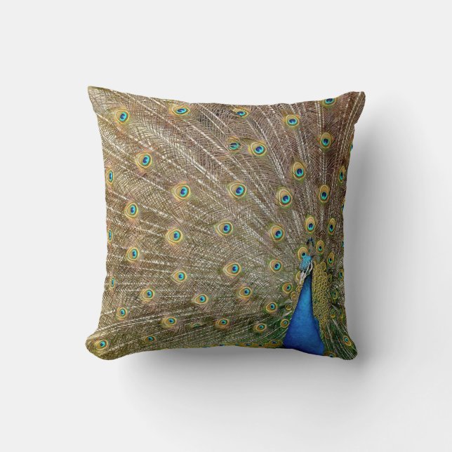 Eleganter Pfau versieht | Wurfs-Kissen mit Federn Kissen (Vorderseite)