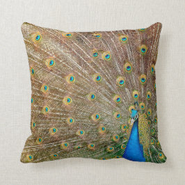 Eleganter Pfau versieht | Wurfs-Kissen mit Federn Kissen